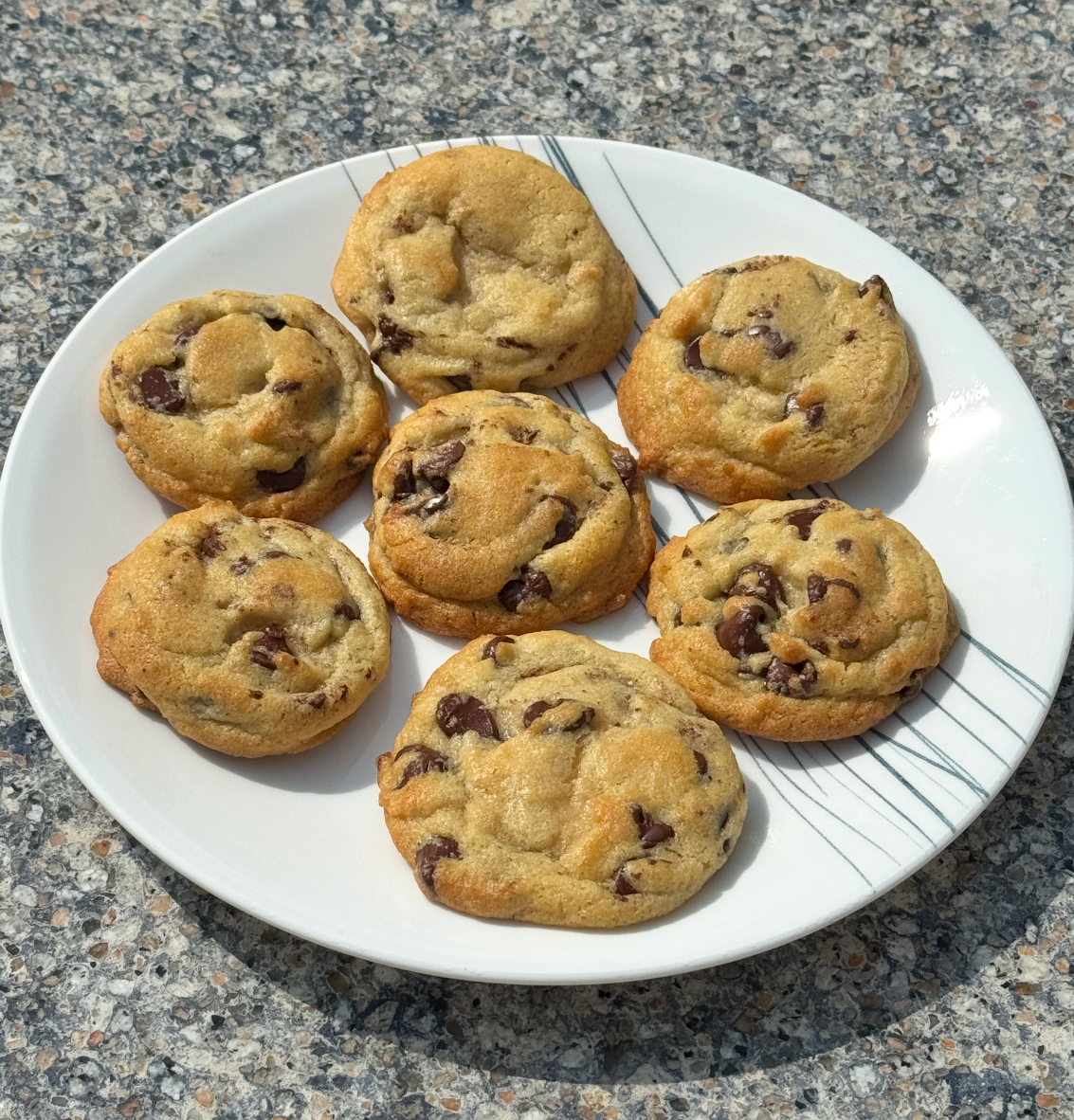Chocolate Chip